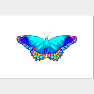 Colorful Butterfly Cool Posters and Art